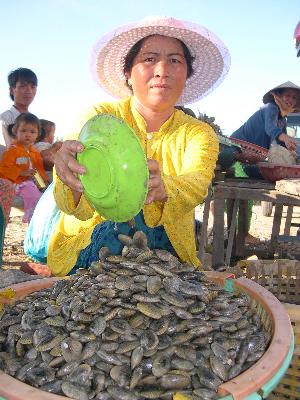 Nghêu lụa vẫn còn bày bán ở chợ Rạch Giá - Kiên Giang