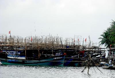 Mựt khô rớt giá, xăng dầu tăng khiến cho nhiều tàu đánh bắt mực ở Quảng Nam phải nằm bờ.
