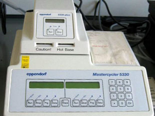 Máy PCR