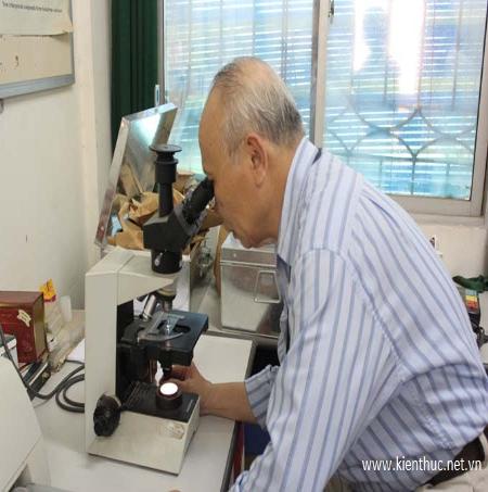 Không chỉ bằng cảm quan và kinh nghiệm, GS Trịnh Tam Kiệt đã dùng kính lúp và kính hiển vi để tìm hiểu về “hoa Ưu đàm”.