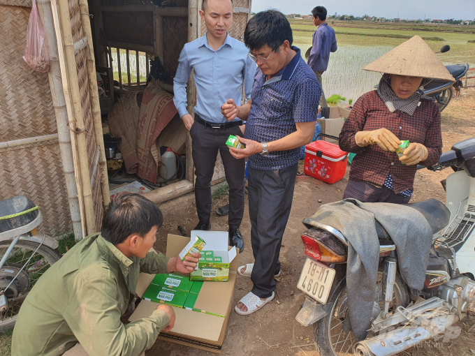 Công ty TNHH Cường Tân đã tiến hành khảo nghiệm phân bón trên 100ha lúa chủ yếu tập trung ở nông trường Rạng Đông, huyện Nghĩa Hưng (Nam Định). Ảnh: Hưng Giang.
