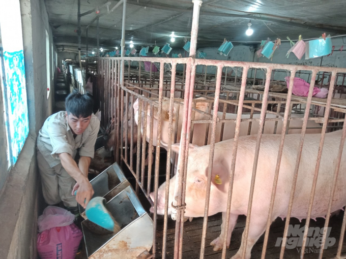 Phát triển chăn nuôi lợn theo chuỗi là một trong những cách làm được UBND tỉnh Bắc Giang quan tâm chỉ đạo nhằm tái cơ cấu lại ngành chăn nuôi. Mô hình này tạo ra sản phẩm đồng đều, bảo đảm chất lượng, tăng sức cạnh tranh, giúp người chăn nuôi yên tâm về đầu ra, hạn chế rủi ro.