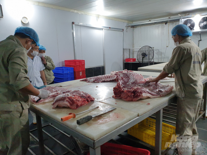 Công ty có 52 trang trại tham gia chăn nuôi tại nhiều tỉnh thành như: Bắc Ninh, Bắc Giang, Lạng Sơn, Phú Thọ, Thái Nguyên, Tuyên Quang... Tổng đàn lợn trong chuỗi là khoảng 10.000 con. Ngoài cung ứng cám, con giống, Công ty còn thu mua lợn thương phẩm của các trang trại đã liên kết để giết mổ, cung cấp cho khách hàng theo hợp đồng. Mỗi ngày, cơ sở giết mổ của Công ty bán ra thị trường từ 4 đến 10 tấn thịt lợn. 'Trong thời gian tới, Công ty dự kiến sẽ xây dựng tại mỗi huyện của tỉnh 1 cơ sở giết mổ mới đáp ứng đủ việc tiêu thụ lợn của các trang trại đã liên kết', ông Hưng nói.