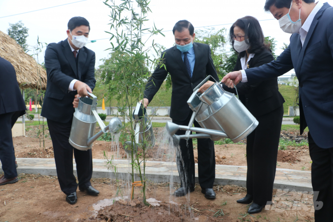 Học viện Nông nghiệp Việt Nam chọn trồng cây tre trong Tết trồng cây xuân Tân Sửu, oài cây tương trưng cho cốt cách con người Việt Nam. Ảnh: HG.