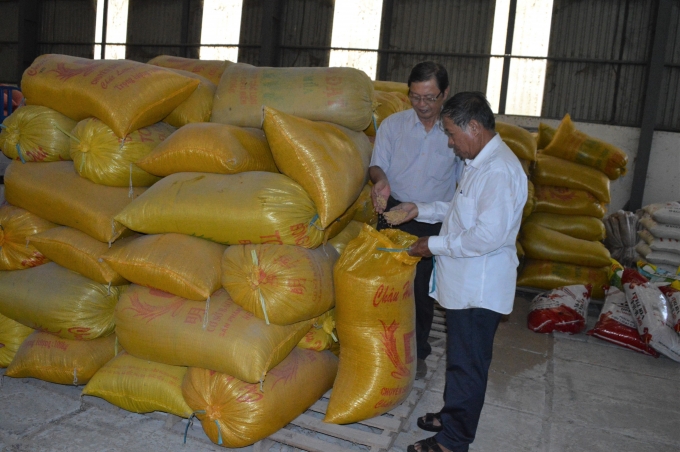 Kho chứa lúa với sức chứa hơn 1 ngàn tấn tại HTX Thạnh Hòa, giúp thu mua, dự trữ lúa tốt cho bà con nông dân. Ảnh: Trung Chánh.