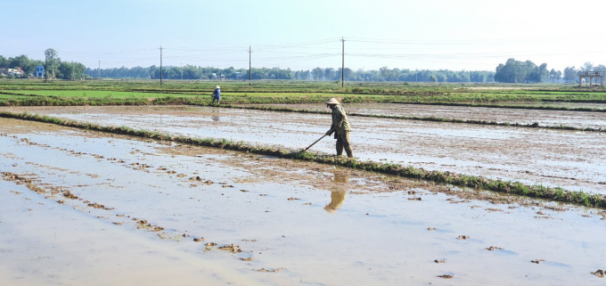 Nông dân Quảng Nam gieo sạ lúa.