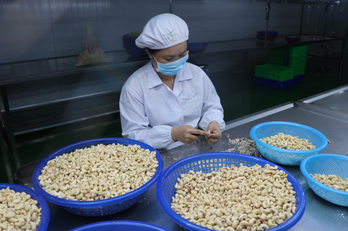 Cashew nuts’ exports to the UAE in the first 2 months of this year increased nearly 6 times compared to the same period in 2020