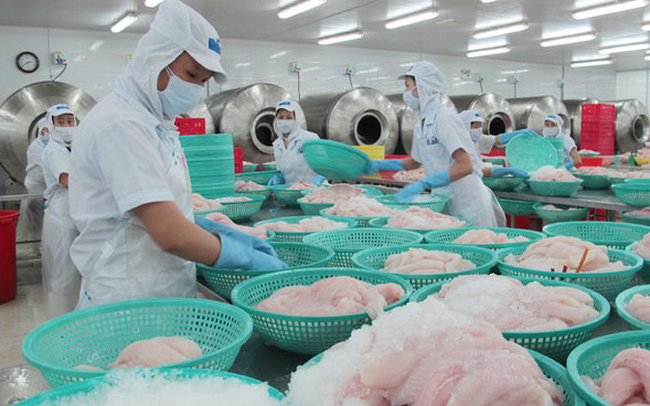 Aquatic product is one of the key export products of Vietnam to the UAE