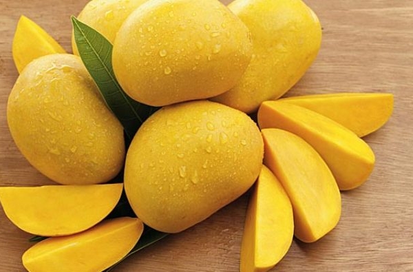 Mango imports from Vietnam to the US has strongly increased in the recent year. Photo: TL.