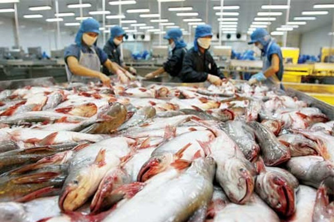 Tra fish exports to China reduced significantly.