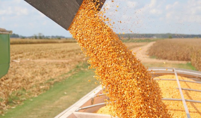 Tension from the prices of animal feed engulfs the whole region Tension from the prices of animal feed engulfs the whole region