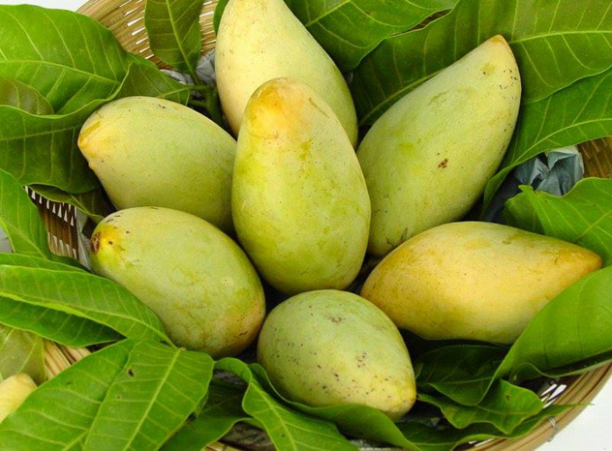 Vietnamese mango, guava and mangosteen imported into Russia increase strongly