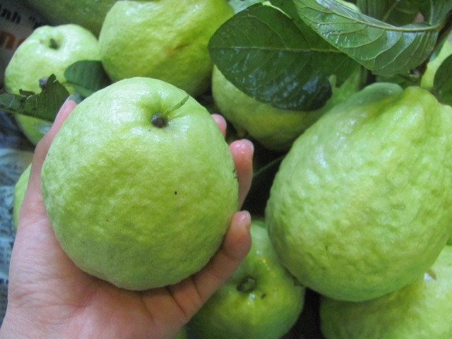 Vietnamese guava