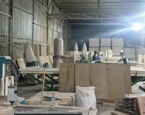 Plywood manufacturing enterprises are reducing their capacity by 30% due to a lack of raw materials. Photo: VGP/Do Huong.