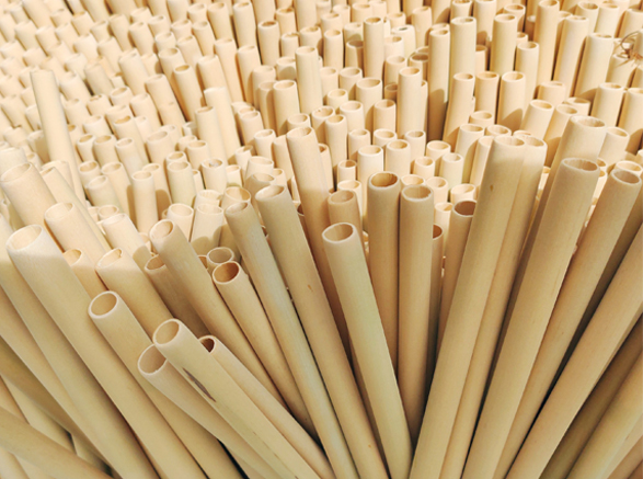 Vietnamese bamboo straws