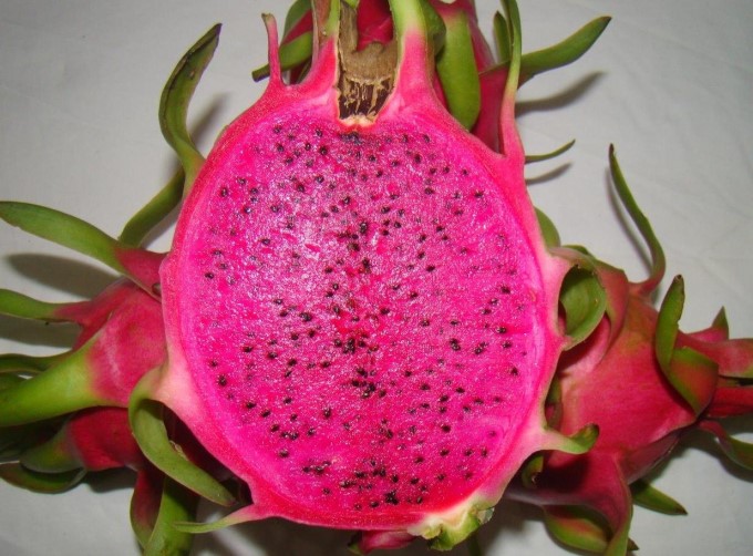 Purple-pink fleshed dragon fruit products. Photo: MH.