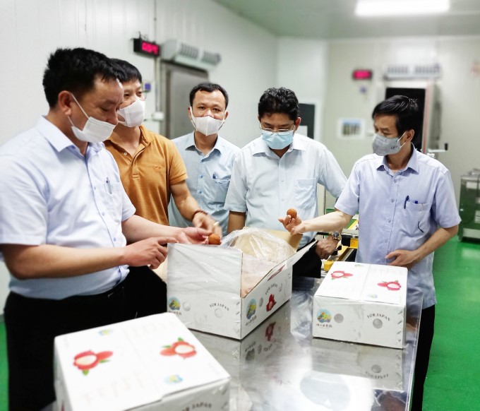 The packaging and fumigation facilities in Hai Duong are ready to meet the needs of export businesses in the 2021 consumption season. Photo: Thanh Van.