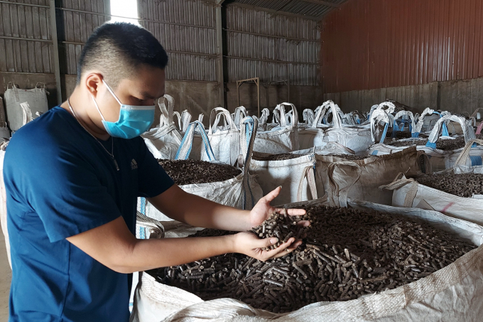 Bio-pellets of Thien Ly Petroleum Company are favored by the Japanese market. Photo: VD.