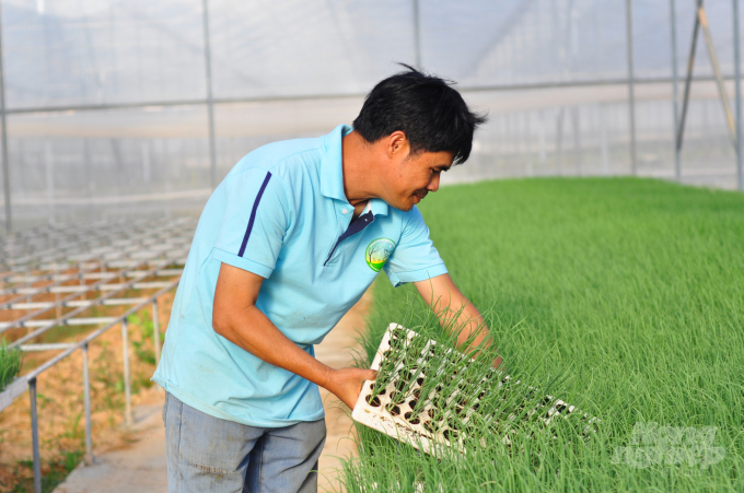 Lam Dong has a large area of high-tech agricultural production, which is the foundation for organic agriculture development. Photo: Minh Hau.