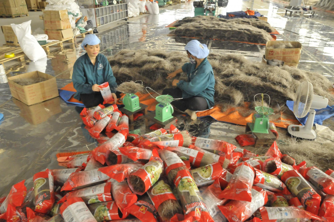 Packing glass noodles at Viet Cuong Glass Noodles Cooperative. Photo: Dong Van Thuong.