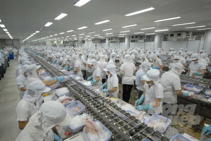 The Group has made connections and sold to 01 business with a joint venture from Singapore to consume 1,000 tons of seafood of all kinds.