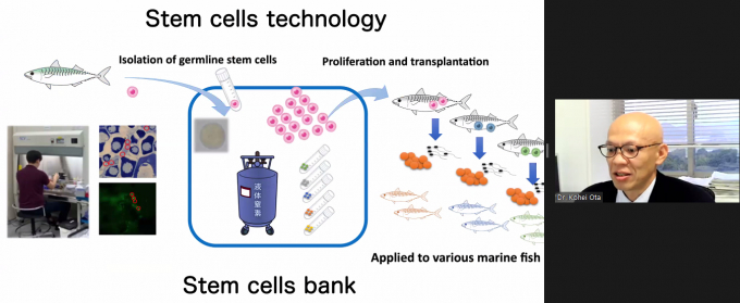 Ông Ota Kohei, đại diện Viện Nghiên cứu Nông nghiệp - Đại học Kyushu, chia sẻ về nghiên cứu công nghệ tế bào gốc đối với cá saba. Ảnh: Hoàng Giang.