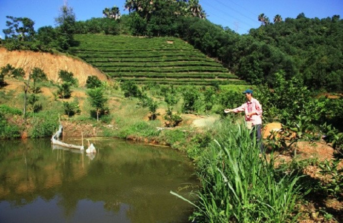 Mekong Delta farmers are a very promising force, so circular is within reach. In fact there are many circular models in the Mekong Delta, such as garden pond stable. Photo: nongsanhaugiang.com.vn.