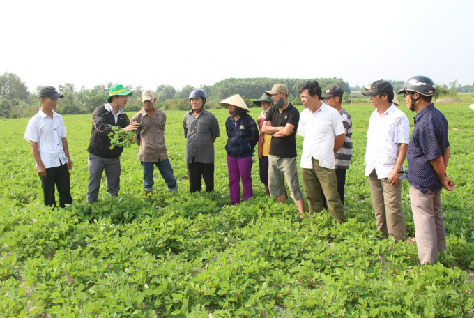 Giảm chi phí tài nguyên đất nước giúp Việt Nam giảm thiểu những hậu phí về mặt môi trường. Ảnh: Lê Khánh - TL.