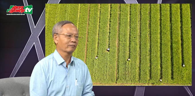 Mr. Tran Xuan Dinh, Former Deputy Director of the Department of Crop Production.