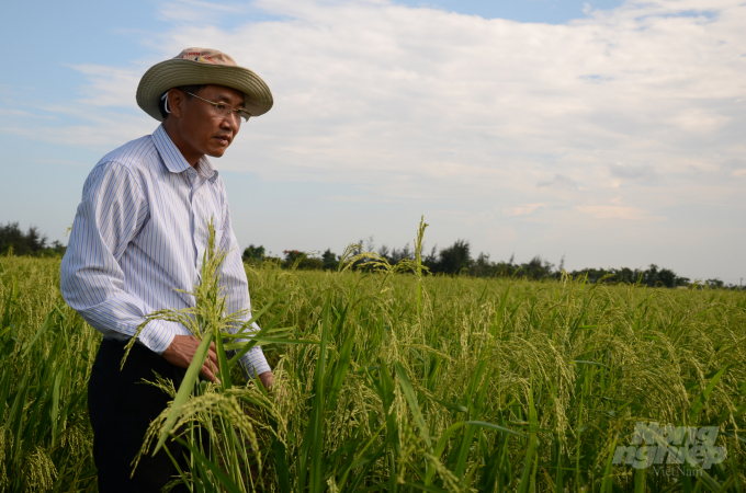 Mr. Doan Van Sau, Director of Cuong Tan Co., Ltd Nam Dinh. Photo: Duong Dinh Tuong.