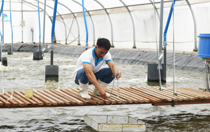 High-tech shrimp farming model in Nha Be district, Ho Chi Minh City.