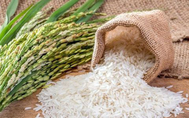 Rice prices today, August 10, in the Mekong Delta provinces, increase in some varieties.