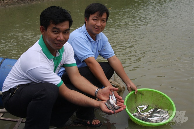 Fishery prices today, August 28: move sideways compared to yesterday. Photo: Thanh Son.