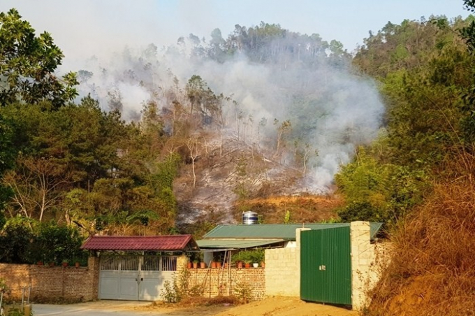 Hiện trường vụ cháy hơn 2ha rừng sản xuất tại xã Vĩnh Quang, thành phố Cao Bằng. Ảnh: T.L.