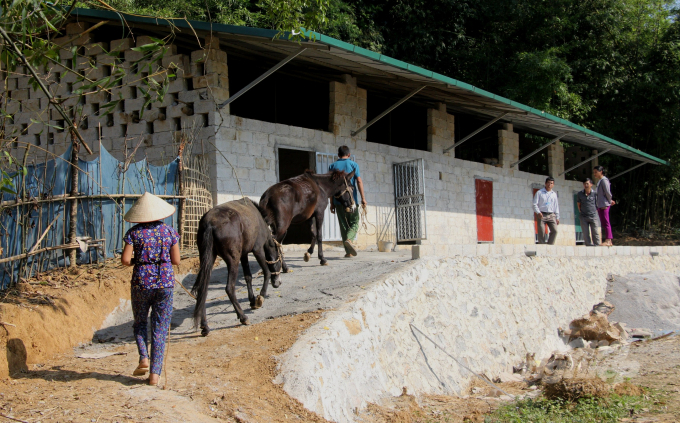 Mô hình chuồng trại chăn nuôi tập trung tại xóm Nà Đeng - Lũng Nọi, xã Đàm Thủy đem lại hiệu quả cao. Ảnh: Đồng Thưởng.
