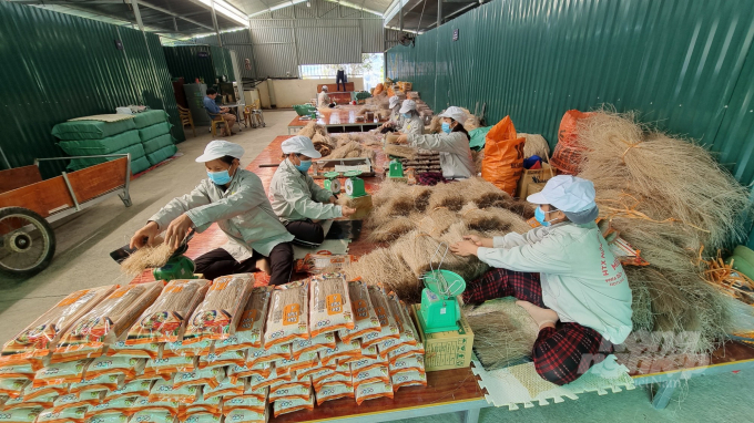 Hợp tác xã nông sản Tân Việt Á đưa sản phẩm miến dong chất lượng cao ra thị trường ngoài tỉnh. Ảnh: Công Hải.