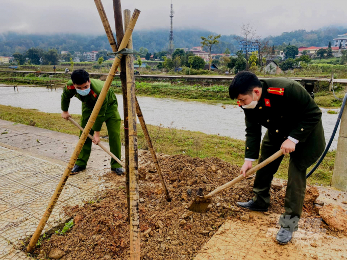 Công an huyện Nguyên Bình tham gia trồng cây mề gà hay còn gọi là cây mác noạng tại thị trấn Nguyên Bình. Ảnh: C.H.
