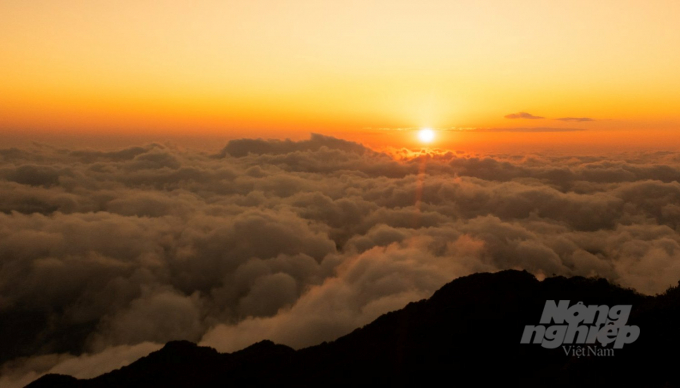 Biển mây huyền ảo trên đỉnh núi Phja Oắc, xã Thành Công, huyện Nguyên Bình (Cao Bằng). Ảnh: Hà Cương.
