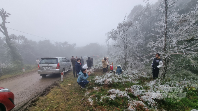 Trong ngày 20 và 21/2, du khách khắp các tỉnh, thành phố đã đổ về đỉnh núi Phja Oắc, xã Thành Công, huyện Nguyên Bình (Cao Bằng) để ngắm băng tuyết.