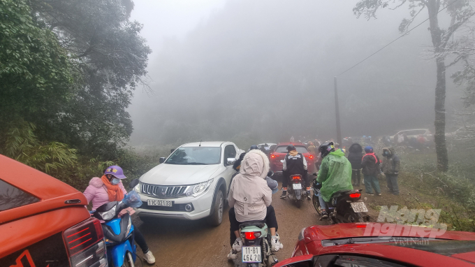 Hàng nghìn du khách kéo về đỉnh núi Phja Oắc làm tắc nghẽn đường đi. 