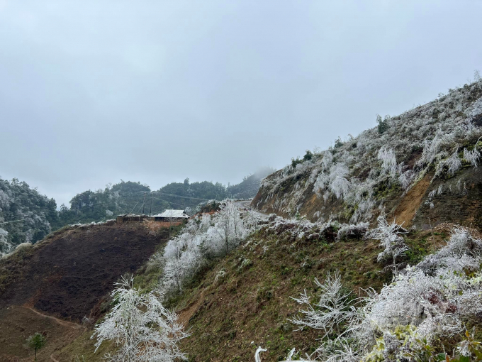 Băng giá phủ trắng đỉnh núi Vài Nòn và Ca Dằm, xã Hồng An, huyện Bảo Lạc. Ảnh: Hà Cương.
