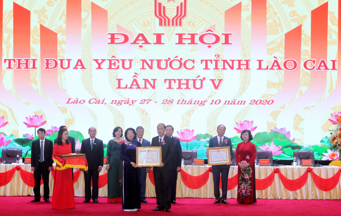 Phó Chủ tịch nước Đặng Thị Ngọc Thịnh trao tặng huân chương, bằng khen cho các tập thể, cá nhân. Ảnh: Q.K.