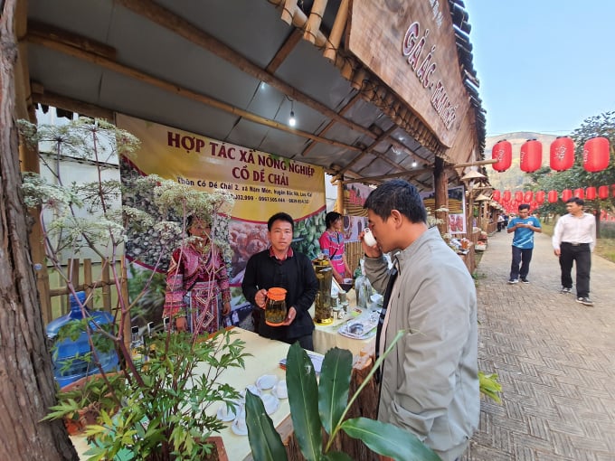 Du khách thưởng thức trà nụ hoa tam thất trồng tại Tả Van Chư (Bắc Hà). Ảnh: H.Đ