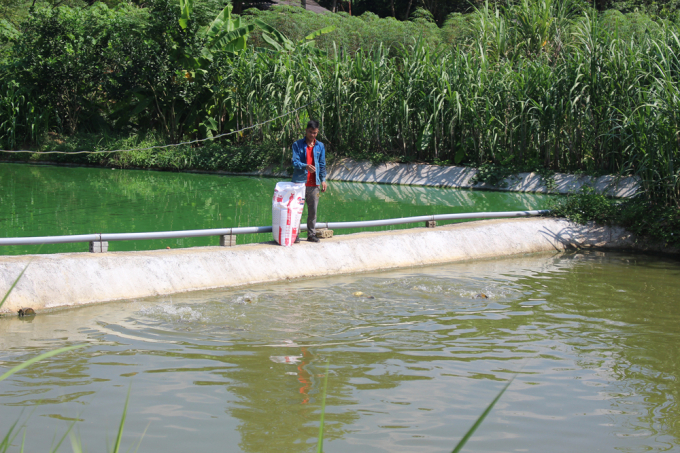 Người dân xã Phong Niên (huyện Bảo Thắng, Lào Cai) ứng dụng khoa học kỹ thuật trong nuôi cá theo quy trình khép kín. Ảnh: K.T