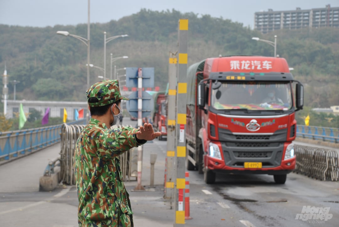 Ở chiều ngược lại, xe hàng nhập từ Trung Quốc sang được lực lượng Đồn biên phòng điều phối vào khu vực cách ly. Sau đó làm thủ tục để thông quan và nhập khẩu được vào Việt Nam trong thời gian ngắn nhất có thể.