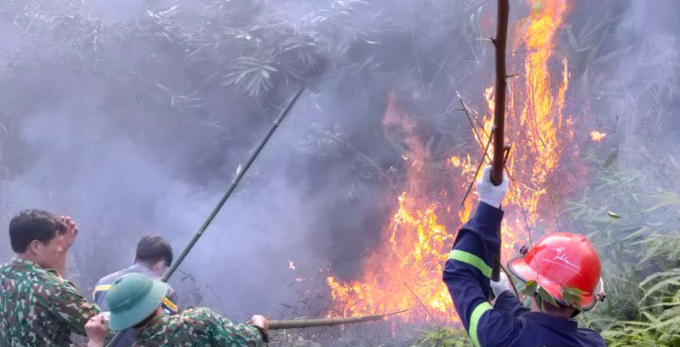 Các lực lượng chức năng dập đám cháy tại khu vực rừng tái sinh thuộc phường Lào Cai (thành phố Lào Cai). Ảnh: Tùng Lâm.
