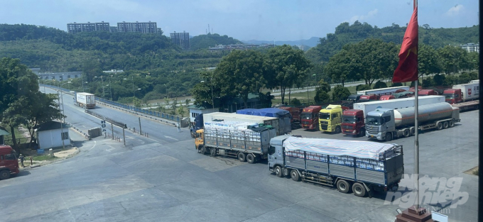 Xe chở nông sản xuất khẩu sang Trung Quốc được giải toả ùn ứ từ chiều 22/6. Ảnh: H.Đ