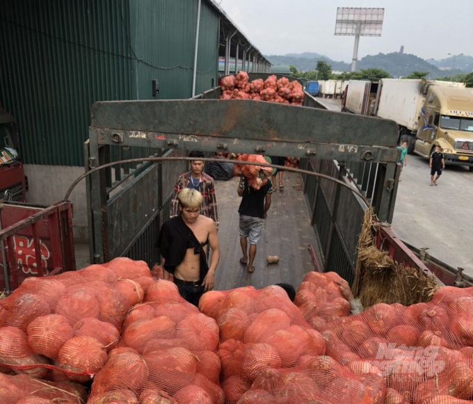 Các mặt hàng nông sản của Trung Quốc vẫn được nhập khẩu vào Việt Nam đều đặn. Ảnh: H.Đ