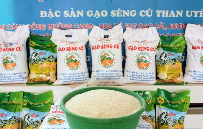 Gạo Séng Cù của Hợp tác xã Thanh Xuân trồng ở độ cao 600m so mực nước biển đạt OCOP 4 sao. Ảnh: T.L