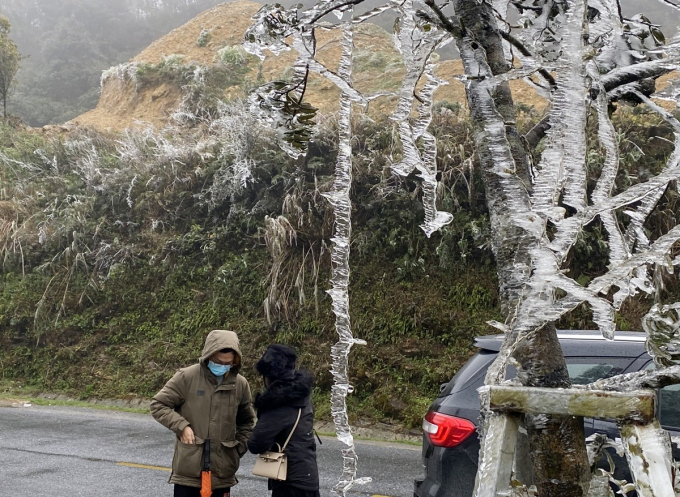 Cây cối ở khu vực đèo Ô Quý Hồ được bao phủ bởi lớp băng giá trông lung linh, huyền ảo. Nhiều du khách đã lái xe lên thẳng đỉnh đèo chụp ảnh băng tuyết sau đó trở về thị xã Sa Pa nghỉ ngơi.